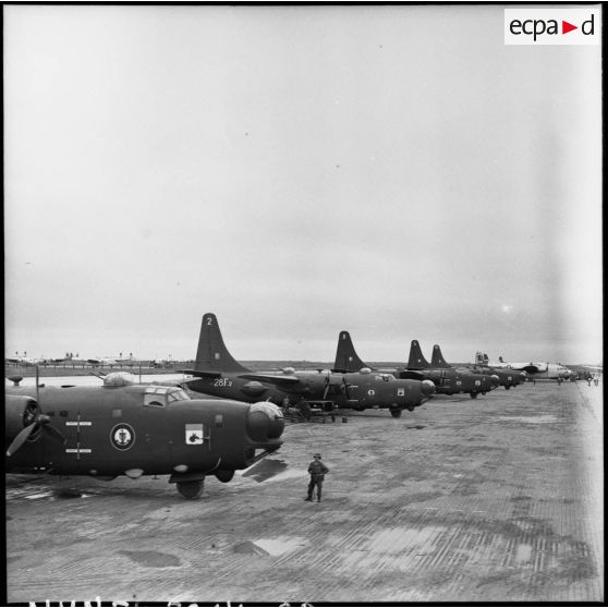 Alignement d'avions bombardiers PB4Y-2 Privateers de la flotille 28F sur le terrain de Cat Bi.