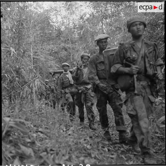 La section lourde du 1er BPL (bataillon de parachutistes laotiens) progresse dans une forêt de bambous lors de l'opération Condor.