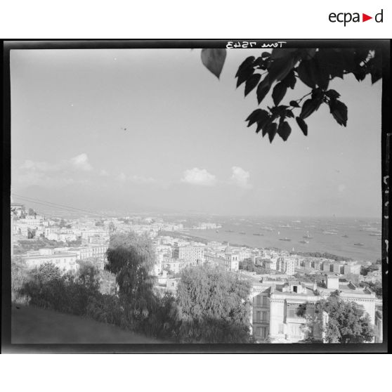 Navires alliés mouillant dans la baie de Naples avant d'appareiller pour la France en vue de l'opération Anvil-Dragoon.