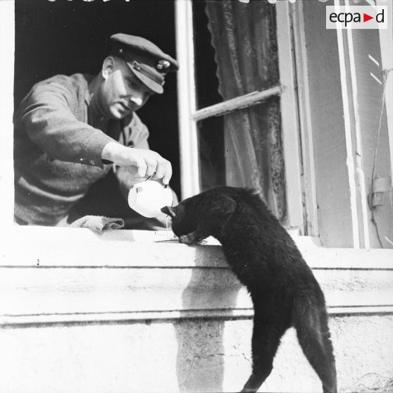 [Militaire du cantonement anglais de Kedange (Moselle) nourrissant un chat, s.d.]