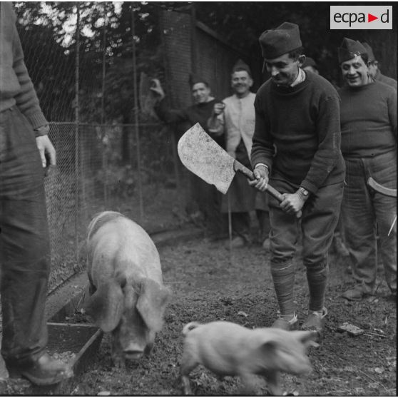 [Photographie de groupe de cuisiniers (151e RI ?), l'un d'entre eux mimant de tuer un cochon.]