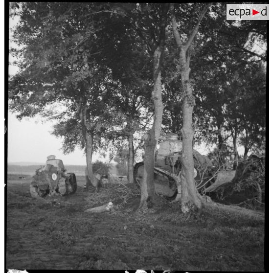 Des chars légers Renault FT 17 sont photographiés en plan général dans un bois bordant un champ.