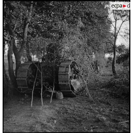 Un char léger Renault FT 17 est photographié en plan général de face recouvert de branchages.