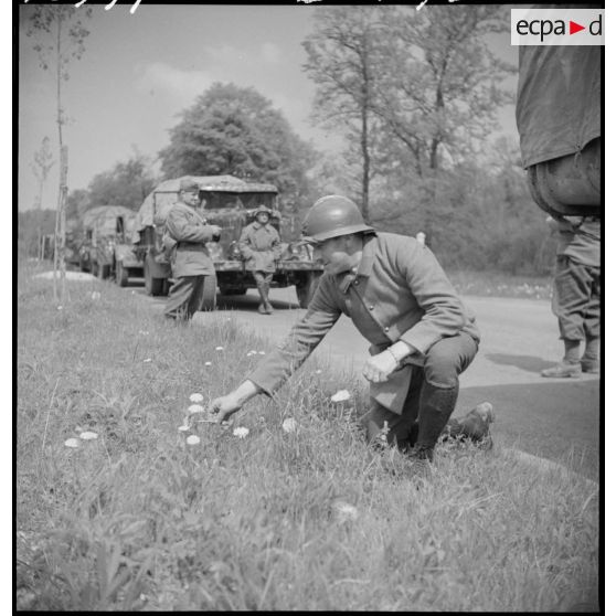 Une colonne motorisée française est à l'arrêt sur une route dans le secteur de la 2e armée.