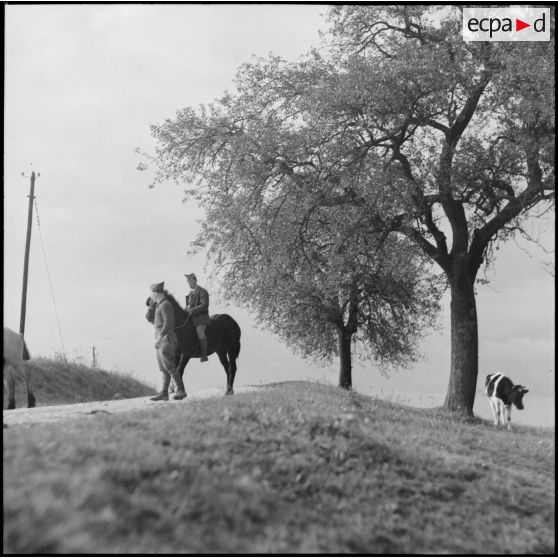 Officier monté sur un cheval de trait dans le secteur de la 3e armée.