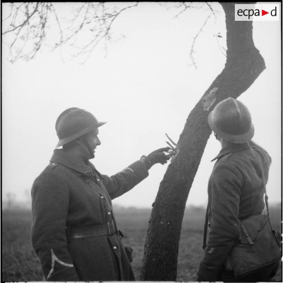 Des soldats de la 3e armée regardent des impacts sur un tronc d'arbre.