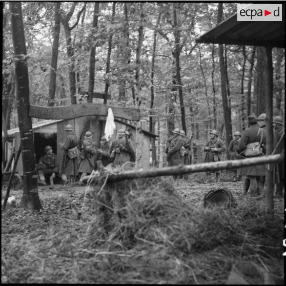 En forêt dans un cantonnement de campagne photographie de groupe de fantassins de la 3e armée.