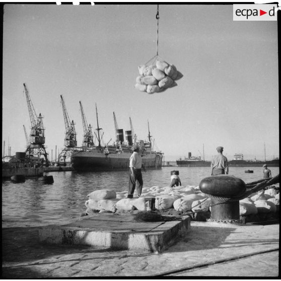 Des dockers travaillent au chargement ou au déchargement d'un navire sur le port de Marseille.