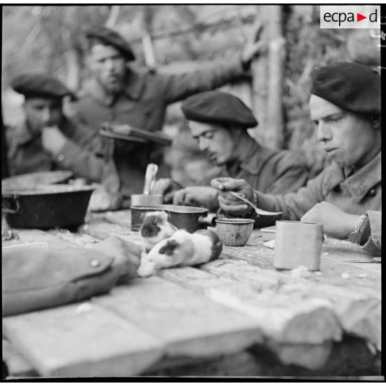 Des chasseurs du 9e BCA mangent autour d'une table en rondin.