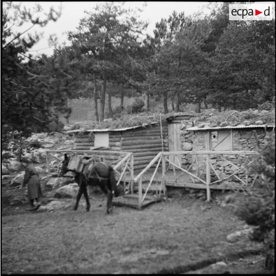 Plan moyen de cagnas du campement du 9e BCA.