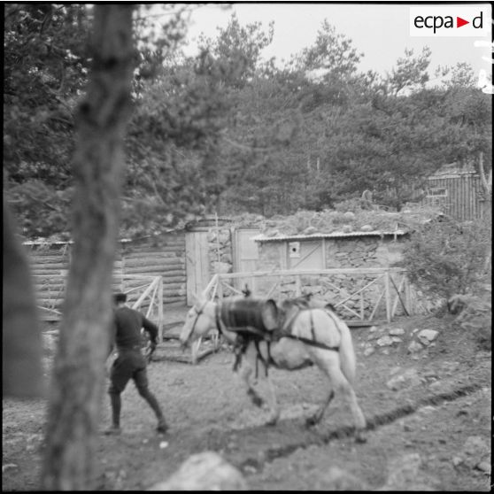 Plan moyen de cagnas du campement du 9e BCA.