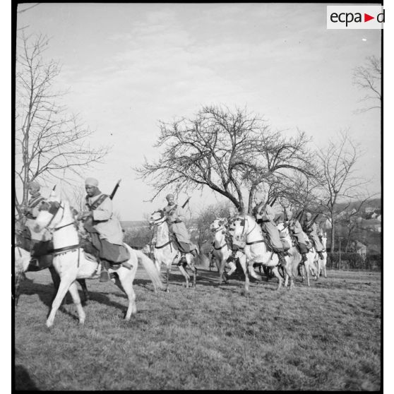 Plan d'ensemble sur une troupe de spahis du 7e RSA au cours d'une fantasia.