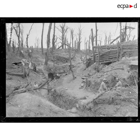 Le Bois dit des Fermes, près Fay (Somme). [légende d'origine]