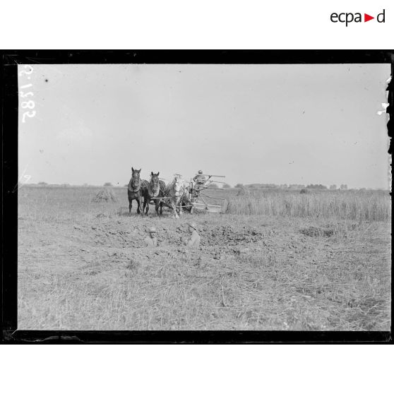 La Briqueterie, près Foucaucourt (Somme). Soldats faisant la moisson (au 1er plan trou d'obus de 210). [légende d'origine]