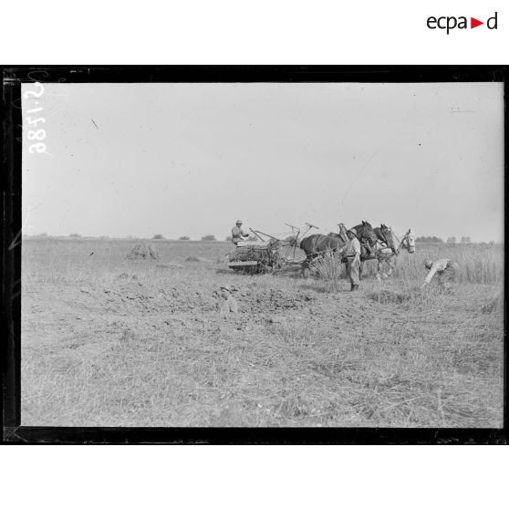 La Briqueterie, près Foucaucourt (Somme). Soldats faisant la moisson (au 1er plan trou d'obus de 210). [légende d'origine]