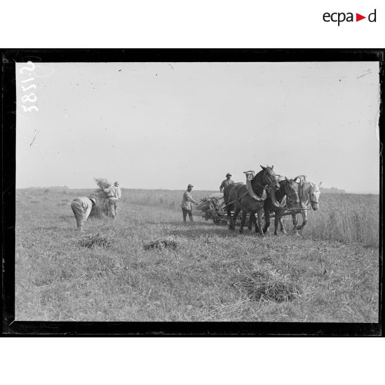 La Briqueterie, près Foucaucourt (Somme). Soldats faisant la moisson. [légende d'origine]