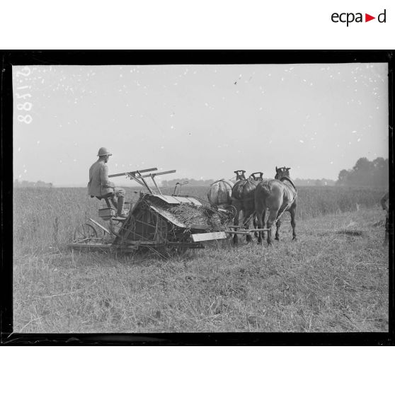 La Briqueterie, près Foucaucourt (Somme). Soldats faisant la moisson. [légende d'origine]