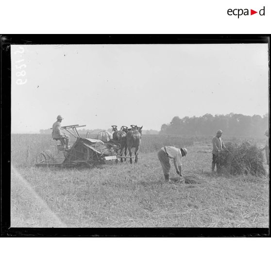 La Briqueterie, près Foucaucourt (Somme). Soldats faisant la moisson. [légende d'origine]