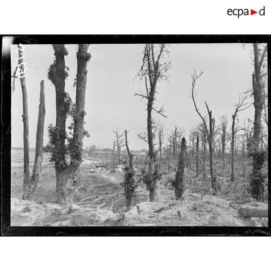 Le Bois dit des Fermes, au fond le village de Fay. [légende d'origine]