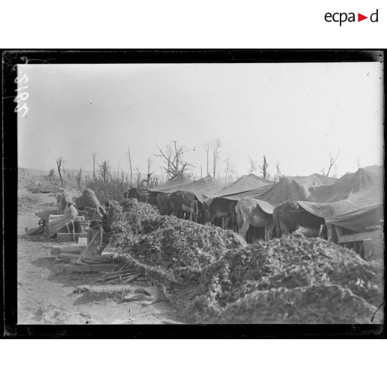 Cléry-sur-Somme. Une écurie d'ânes de tranchées. [légende d'origine]