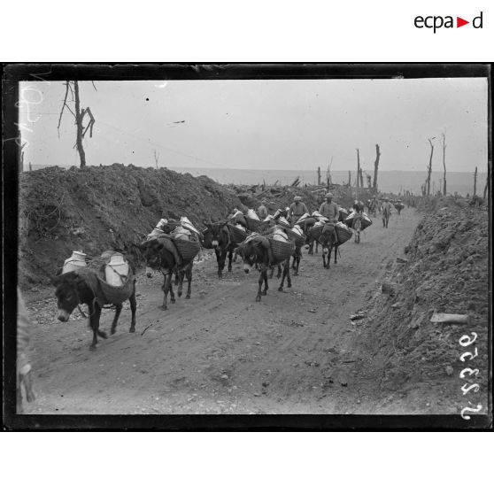 Maurepas (Somme). Anes portant la soupe aux premières lignes. [légende d'origine]