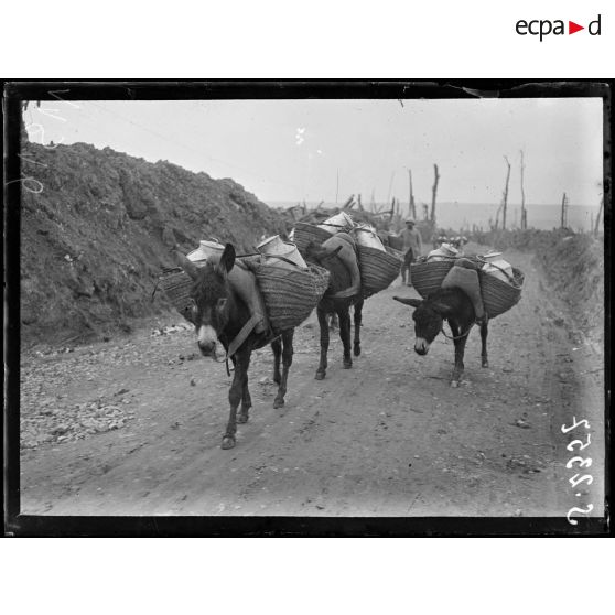 Maurepas (Somme). Anes portant la soupe aux premières lignes. [légende d'origine]