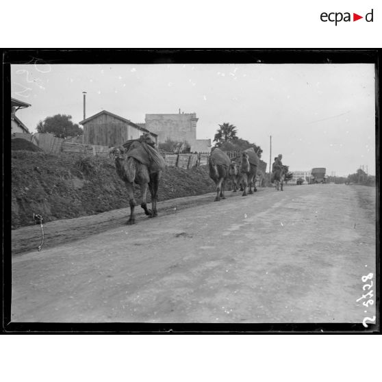 Bizerte (Tunisie). Caravane sur la route de Tunis. [légende d'origine]