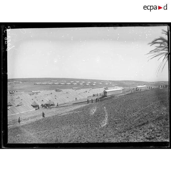 Près de Bizerte. Camp serbe du Nador. Panorama. [légende d'origine]