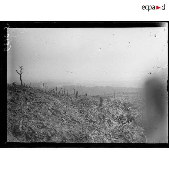 Mont des Sapins, près Soupir (Aisne). Aspect du champ de bataille. [légende d'origine]