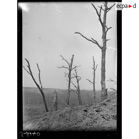 Mont des Sapins, près Soupir (Aisne). Aspect du champ de bataille. [légende d'origine]