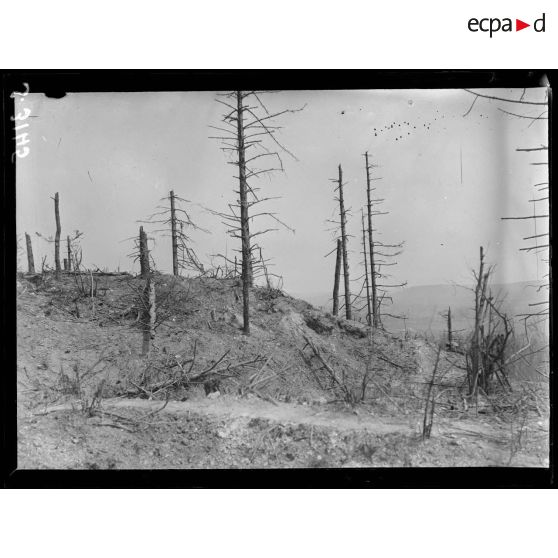 Mont des Sapins, près Soupir (Aisne). Aspect du champ de bataille. [légende d'origine]