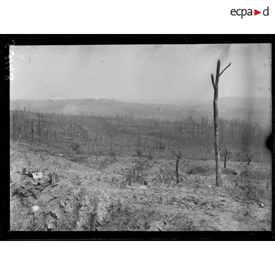 Mont des Sapins, près Soupir (Aisne). Aspect du champ de bataille. [légende d'origine]