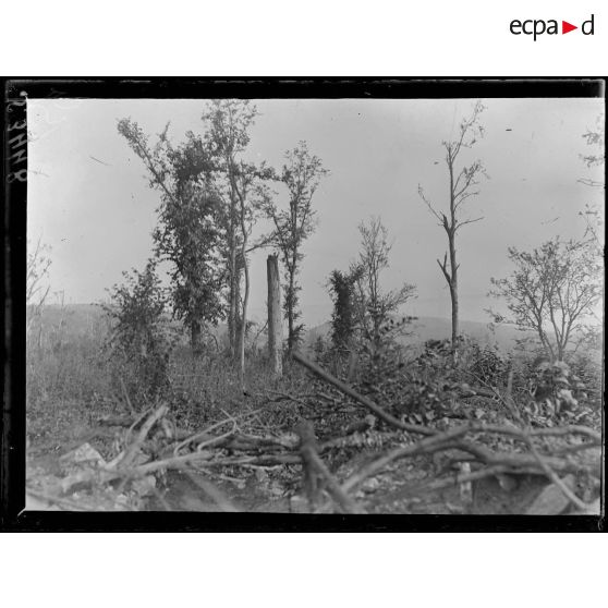 Région de la ferme d'Hurtebise (Aisne). Vue prise de la tranchée de 1ère ligne Joffre sur les positions allemandes du Doigt et du Téton. [légende d'origine]