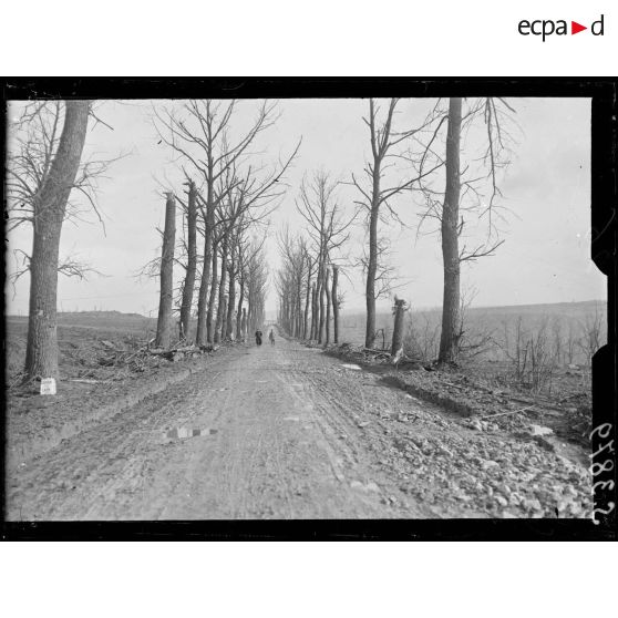 Près Chavignon (Aisne). La route de Maubeuge déblayée. [légende d'origine]