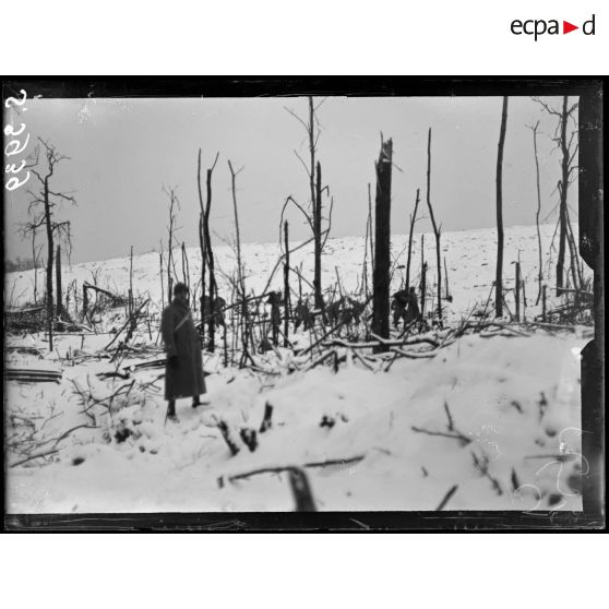 Chavignon (Aisne). Carrières Montparnasse. Le bois. [légende d'origine]