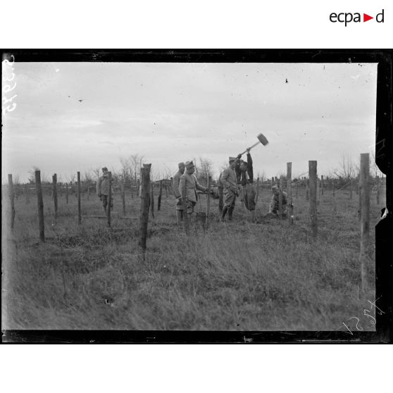 Près du moulin de Laffaux (Aisne). Pose de réseaux de fils de fer. [légende d'origine]