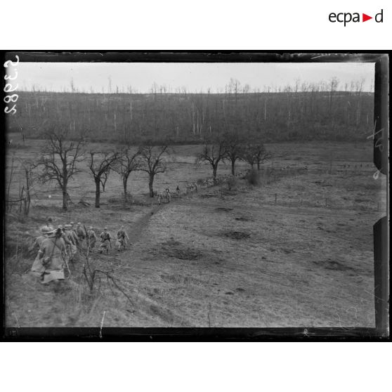 Bois de Fruty (Aisne). Une relève traversant le bois dévasté. [légende d'origine]