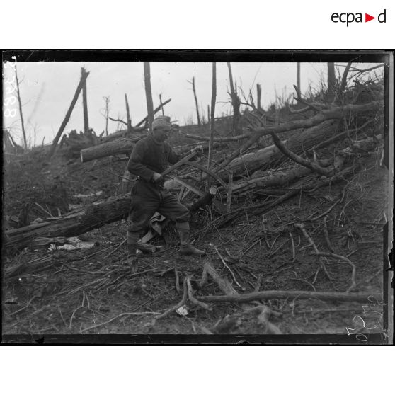 Bois de Fruty (Aisne). Un bûcheron. [légende d'origine]