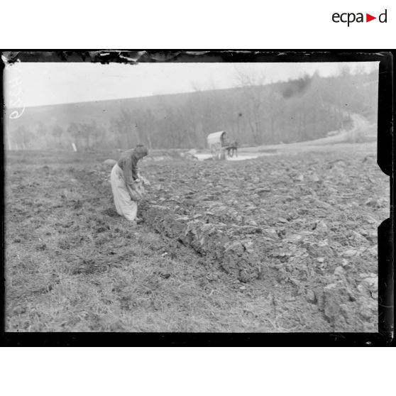 Septmonts (Aisne). Les femmes aux champs. Femme ensemençant. [légende d'origine]