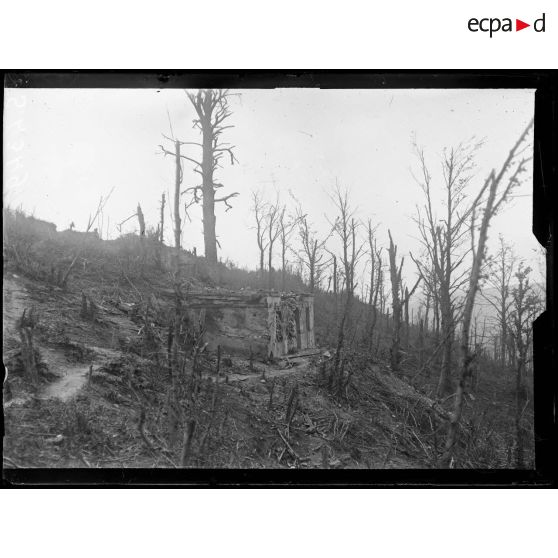 Ostel (Aisne). Ancien abri allemand dans le bois. [légende d'origine]