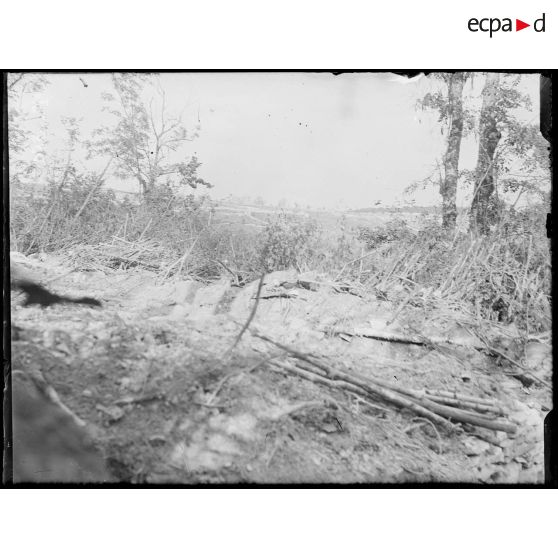 Bois Foulon. Vue de la ferme Hurtebise (Aisne) occupée par les allemands (au fond tranchée allemande). [légende d'origine]