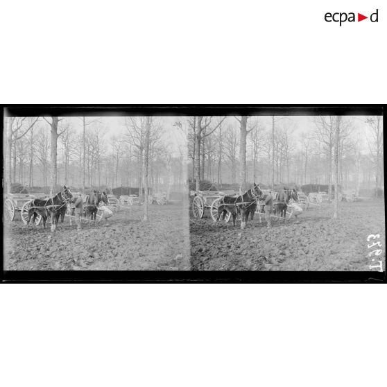 (Bois de la Viergette) (entre Moiremont et Florent) (Marne). Echelons du 53e d'artillerie. 2e groupe de 90. 31-1-16. [légende d'origine]