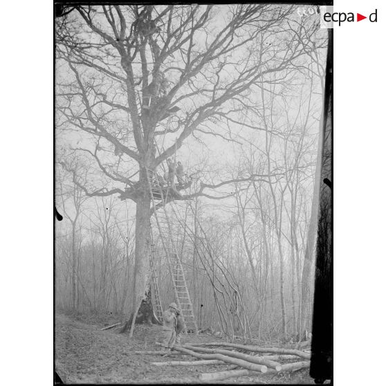 En Argonne. Cote 190 près Rondchamp. L'observatoire dit ''Plaisance''. [légende d'origine]