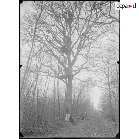 En Argonne. Cote 190. Est de la Renarde. L'observatoire dit ''Plaisance''. [légende d'origine]