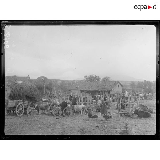 (Petorak). Les réfugiés. 20 octobre 1916. [légende d'origine]