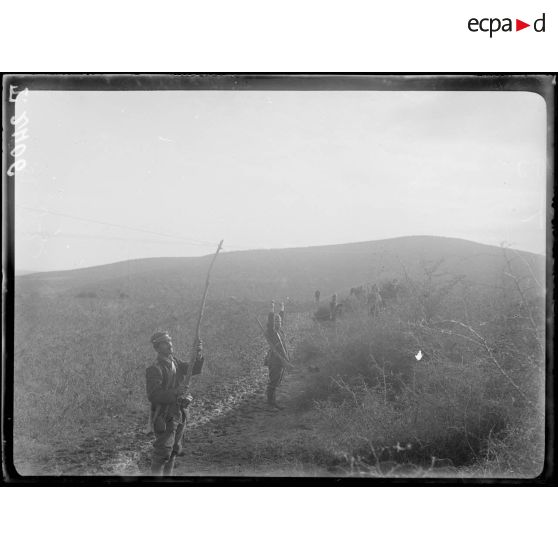 Drevens. Soldats grecs posant des lignes téléphoniques. [légende d'origine]