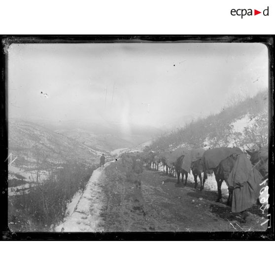 Col de Bigla. Muletiers passant par le col. [légende d'origine]