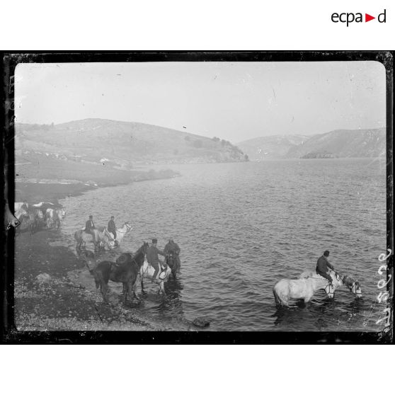 Lac Prespa, près de Sulin, en face les monts Malisat. [légende d'origine]