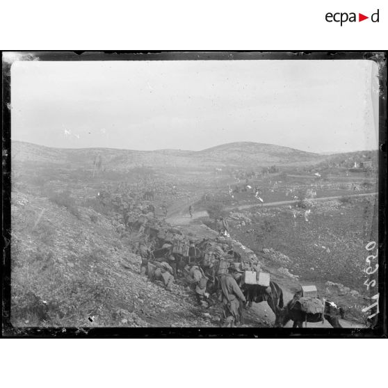 Col de Bigla. Convoi d'infanterie sur la route. [légende d'origine]