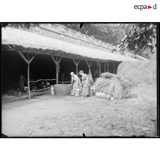 Parc de Meudon. Hangar à côté de la terrasse supérieure. 500 têtes de bétails s'y trouvent abrités. Le lait est recueilli et mis en pot. [légende d'origine]